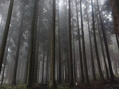 -山王坪喀斯特国家生态公园