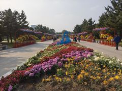 -北陵公园