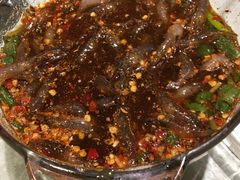 -阿斯牛牛·凉山菜(新会展店)