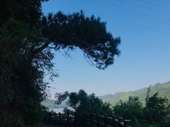 -羚羊峡古栈道森林公园