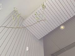 -蝶舍·MAISON PAPILLON