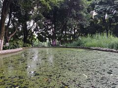-成都市活水公园