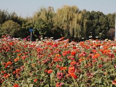 -武汉园博园(武汉自然博物馆)