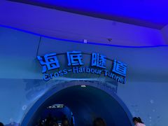 -泉城欧乐堡海洋极地世界