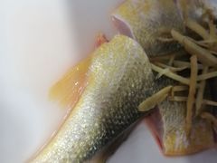 蒸汽大黄花鱼-船奇蒸汽海鲜·闽菜(八市海鲜总店)