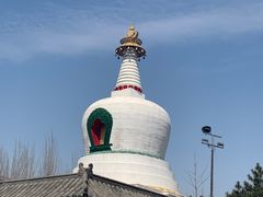-西塔