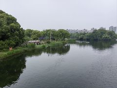 -新江湾城公园