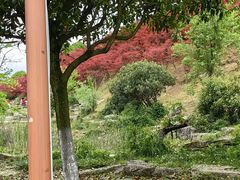 -天河潭旅游度假区