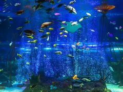 -沈阳海洋探索中心