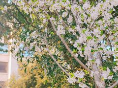 -白塘生态植物园