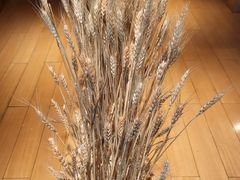 -西村日本料理(香格里拉饭店)