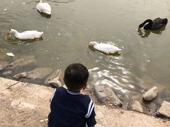 -回龙观体育文化公园