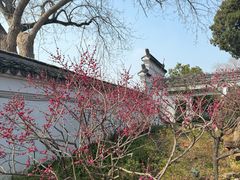 -无锡梅园公园