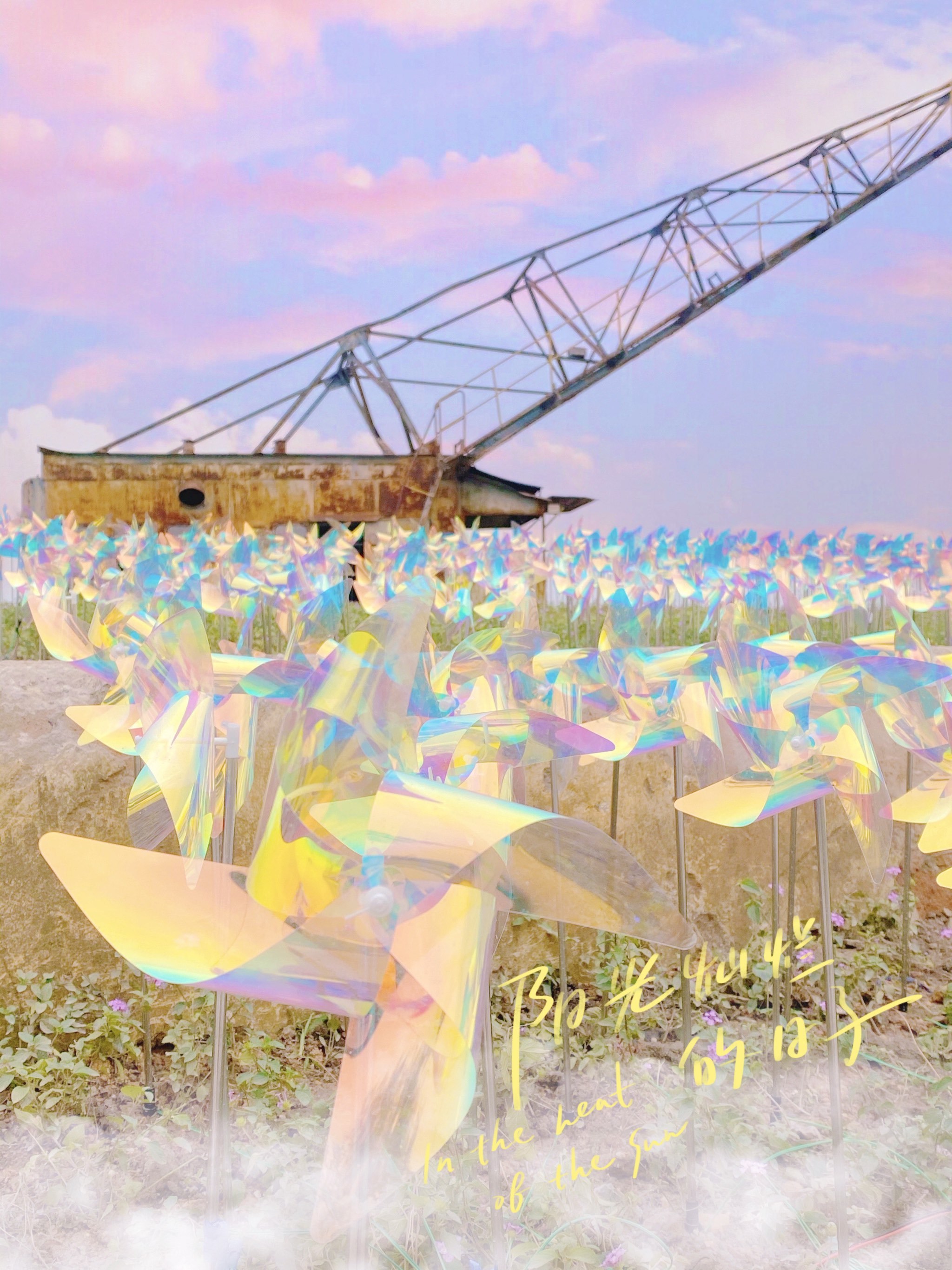 新晋打卡圣地滨江艺术公园⛲️