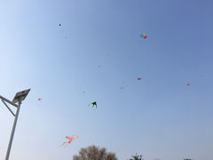 -太阳宫公园