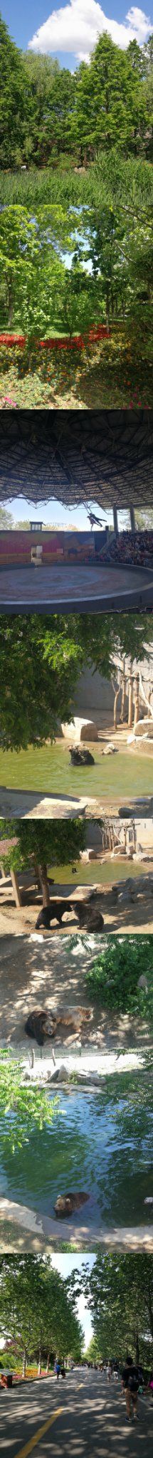 -石家庄市动物园