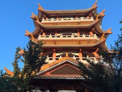 -畔山酒店中餐厅