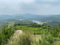-中旅阿那亚九龙湖·公主酒店