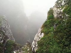 -牛背梁国家森林公园