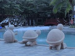 -海南清水湾莱佛士酒店