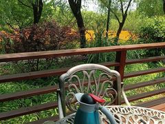 -上海吴淞炮台湾国家湿地公园