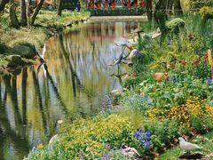 -上海共青森林公园