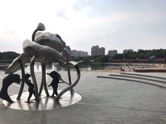 -暨阳湖生态园
