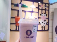 -一只酸奶牛(八一路店)