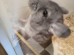 -龙猫仔乐园(惠福东路店)