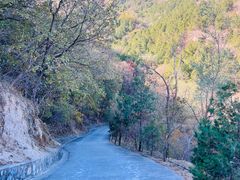 -鹫峰国家森林公园