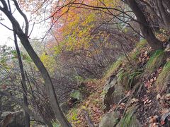 -秦岭终南山世界地质公园翠华山景区