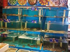 水产区-粥全粥到海鲜家常菜·海肠捞饭(嫩江路店)