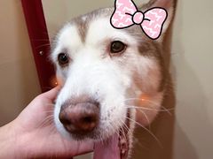 -和它·交个朋友·狗咖猫咖(爱琴海店)