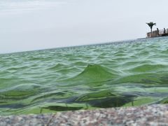 -厦门湾·白塘湾火山公园