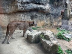 -杭州野生动物世界
