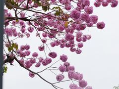 -万科前海企业公馆