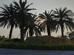 -宝安西湾红树林湿地公园