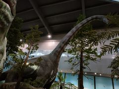 -湖南省地质博物馆