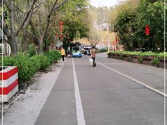 -南海湾森林生态园