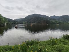 -黔灵山公园