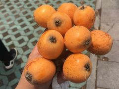 -塘栖枇杷特色园区