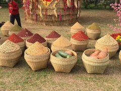 -南宁良凤江国家森林公园