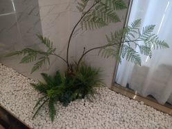 -铂诗玥医美