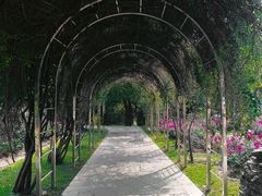 -人民公园(罗湖区)