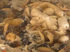 -太婆天府山珍酒楼(亚运村店)
