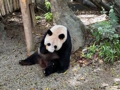 -广州长隆野生动物世界