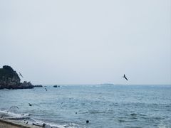 -大连金石滩滨海国家地质公园