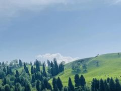 -新疆那拉提国家旅游度假区