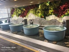 -青水瓦台汤泉(未央店)