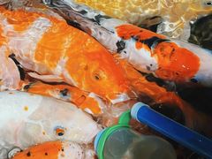 -海合安青岛极地海洋公园